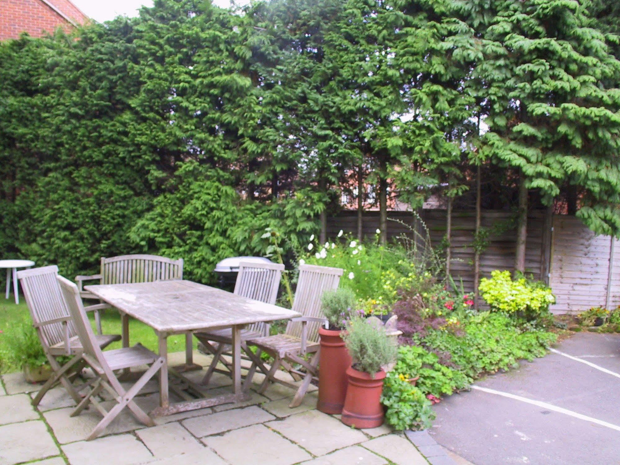 Springfield House - Birmingham Airport & Nec Bed and Breakfast Coleshill Exteriör bild
